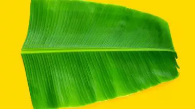 plating-instructions-image